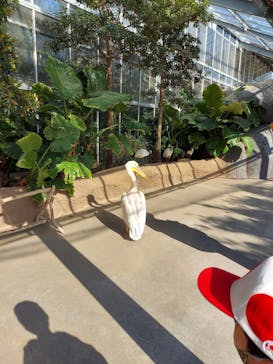 神戸どうぶつ王国に投稿された画像（2021/4/11）