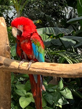 神戸どうぶつ王国に投稿された画像（2021/4/11）