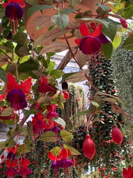 神戸どうぶつ王国に投稿された画像（2021/4/11）