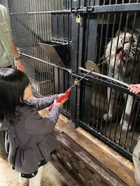 伊豆アニマルキングダムに投稿された画像（2021/4/11）