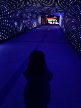 東京メガイルミに投稿された画像（2021/4/11）