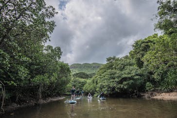 西表島 ADVENTURE PiPi（アドベンチャーピピ）に投稿された画像（2021/4/11）