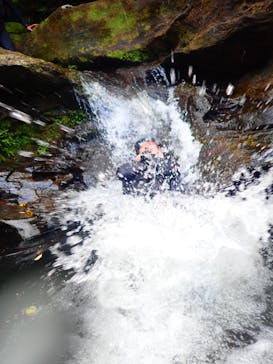 西表島 ADVENTURE PiPi（アドベンチャーピピ）に投稿された画像（2021/4/11）