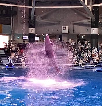 マクセル アクアパーク品川に投稿された画像（2021/4/11）