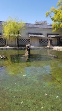 東映太秦映画村に投稿された画像（2021/4/11）