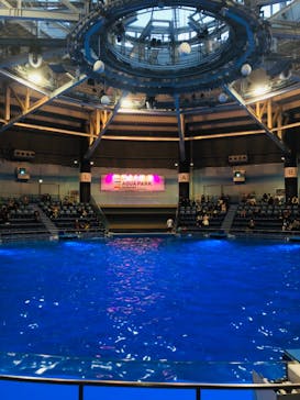 マクセル アクアパーク品川に投稿された画像（2021/4/11）