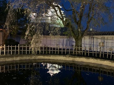 姫路城（イベント）に投稿された画像（2021/4/11）