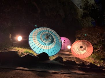 姫路城（イベント）に投稿された画像（2021/4/11）