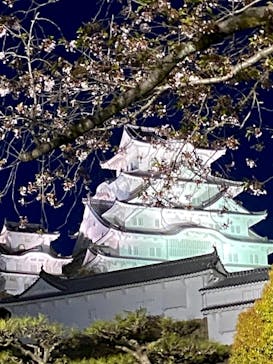 姫路城（イベント）に投稿された画像（2021/4/11）