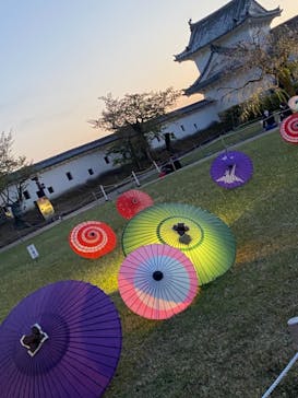 姫路城（イベント）に投稿された画像（2021/4/11）