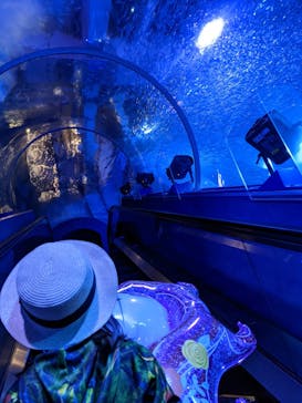 横浜・八景島シーパラダイスに投稿された画像（2021/4/11）