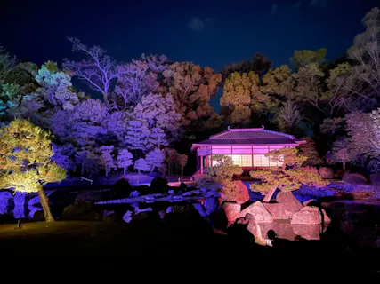 Naked Flowers 21 ー桜ー 世界遺産 二条城 口コミ一覧 アソビュー