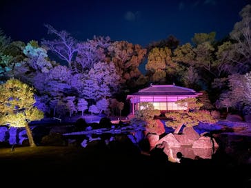 二条城×ネイキッド 二条城夏まつり2021に投稿された画像（2021/4/11）