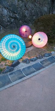 姫路城（イベント）に投稿された画像（2021/4/11）