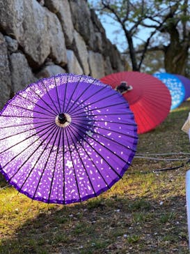 姫路城（イベント）に投稿された画像（2021/4/11）