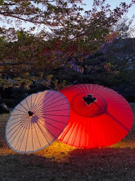 姫路城（イベント）に投稿された画像（2021/4/11）