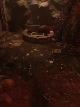 天王寺動物園に投稿された画像（2021/4/11）