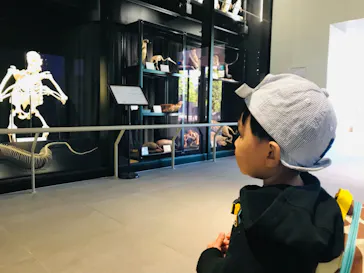 天王寺動物園に投稿された画像（2021/4/11）