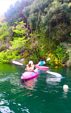 カヌーリゾートたまよどに投稿された画像（2021/4/11）