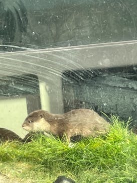 サンシャイン水族館に投稿された画像（2021/4/11）