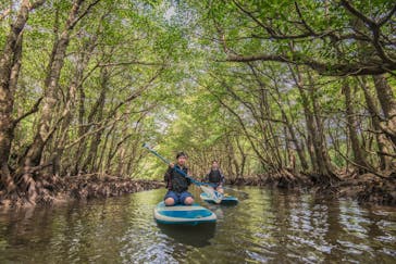 西表島 ADVENTURE PiPi（アドベンチャーピピ）に投稿された画像（2021/4/11）