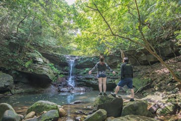 西表島 ADVENTURE PiPi（アドベンチャーピピ）に投稿された画像（2021/4/11）