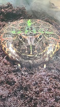 サンシャイン水族館に投稿された画像（2021/4/11）