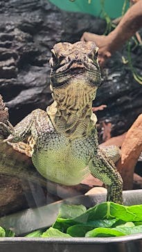 サンシャイン水族館に投稿された画像（2021/4/11）