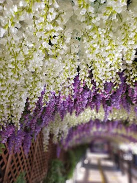 東京サマーランドに投稿された画像（2021/4/11）