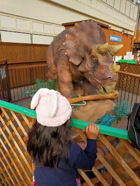 東京サマーランドに投稿された画像（2021/4/11）