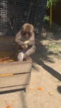 しろとり動物園に投稿された画像（2021/4/11）
