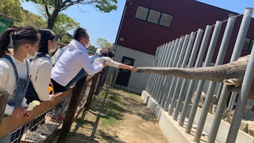 しろとり動物園に投稿された画像（2021/4/11）