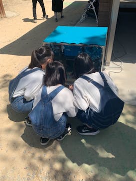 しろとり動物園に投稿された画像（2021/4/11）