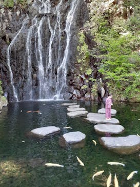 箱根湯本温泉 天成園に投稿された画像（2021/4/11）
