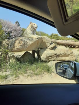 群馬サファリパークに投稿された画像（2021/4/11）