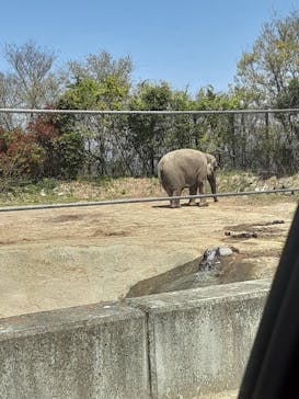 群馬サファリパークに投稿された画像（2021/4/11）