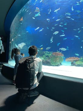 サンシャイン水族館に投稿された画像（2021/4/11）