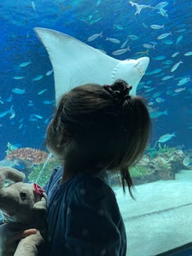 サンシャイン水族館に投稿された画像（2021/4/11）