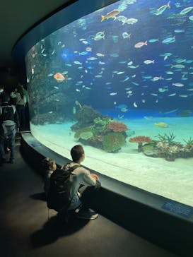 サンシャイン水族館に投稿された画像（2021/4/11）