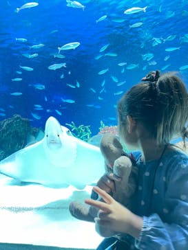 サンシャイン水族館に投稿された画像（2021/4/11）