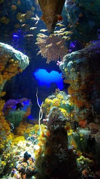 サンシャイン水族館に投稿された画像（2021/4/11）