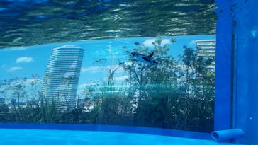 サンシャイン水族館に投稿された画像（2021/4/11）