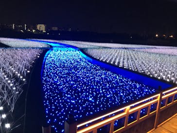 東京メガイルミに投稿された画像（2021/4/11）