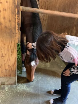 マリンズステーブルに投稿された画像（2021/4/11）