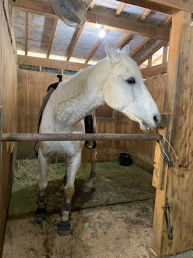 マリンズステーブルに投稿された画像（2021/4/11）