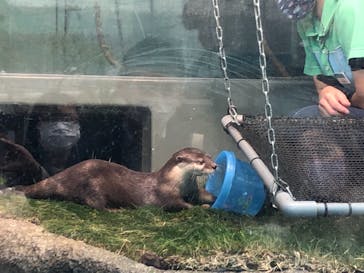 サンシャイン水族館に投稿された画像（2021/4/11）