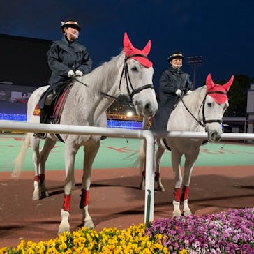 東京メガイルミに投稿された画像（2021/4/11）