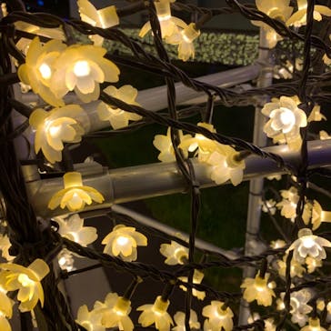 東京メガイルミに投稿された画像（2021/4/11）