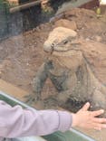 体感型動物園iZooに投稿された画像（2021/4/12）