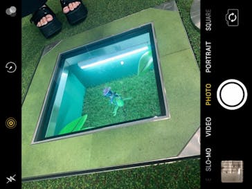 横浜アンパンマンこどもミュージアムに投稿された画像（2021/4/12）